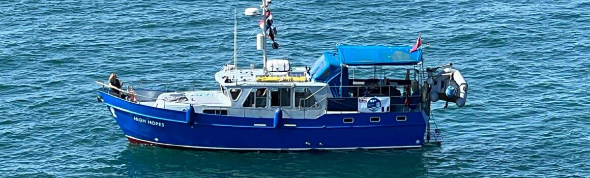 Ellis Marine Services